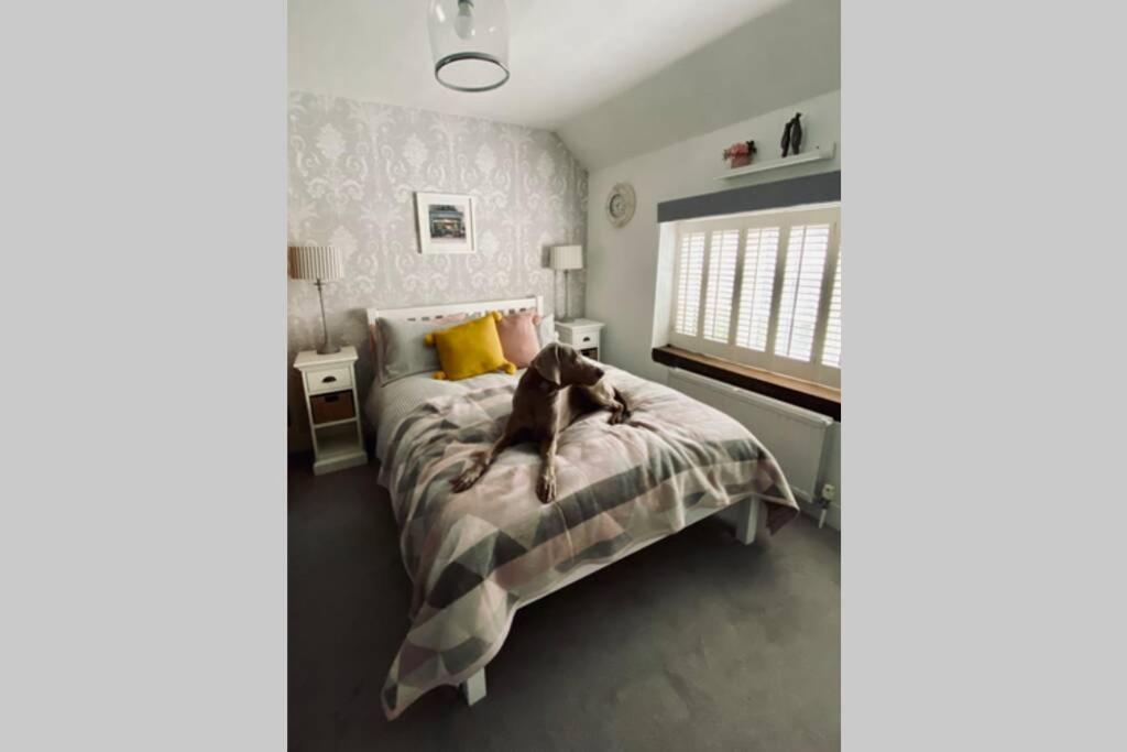 Angel Cottage, Boxgrove, Chichester - Relax And Unwind Экстерьер фото